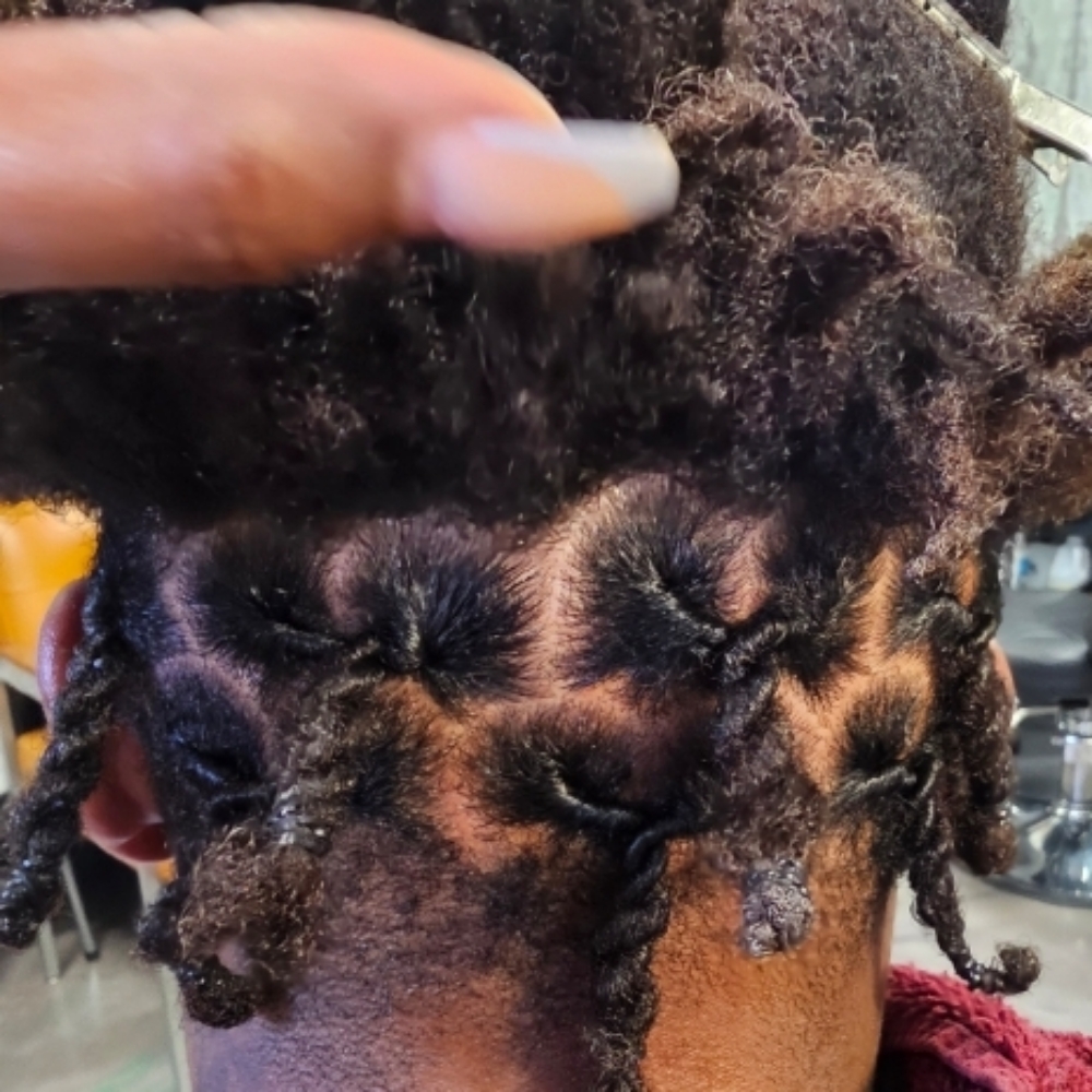Freeform To Starter w/Treatment at YTS NATURALS in CLEVELAND, OH