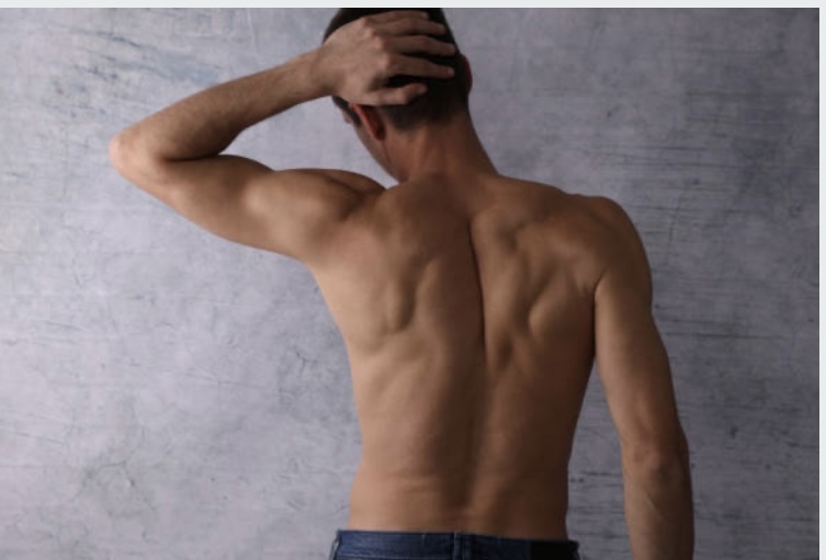Back Full