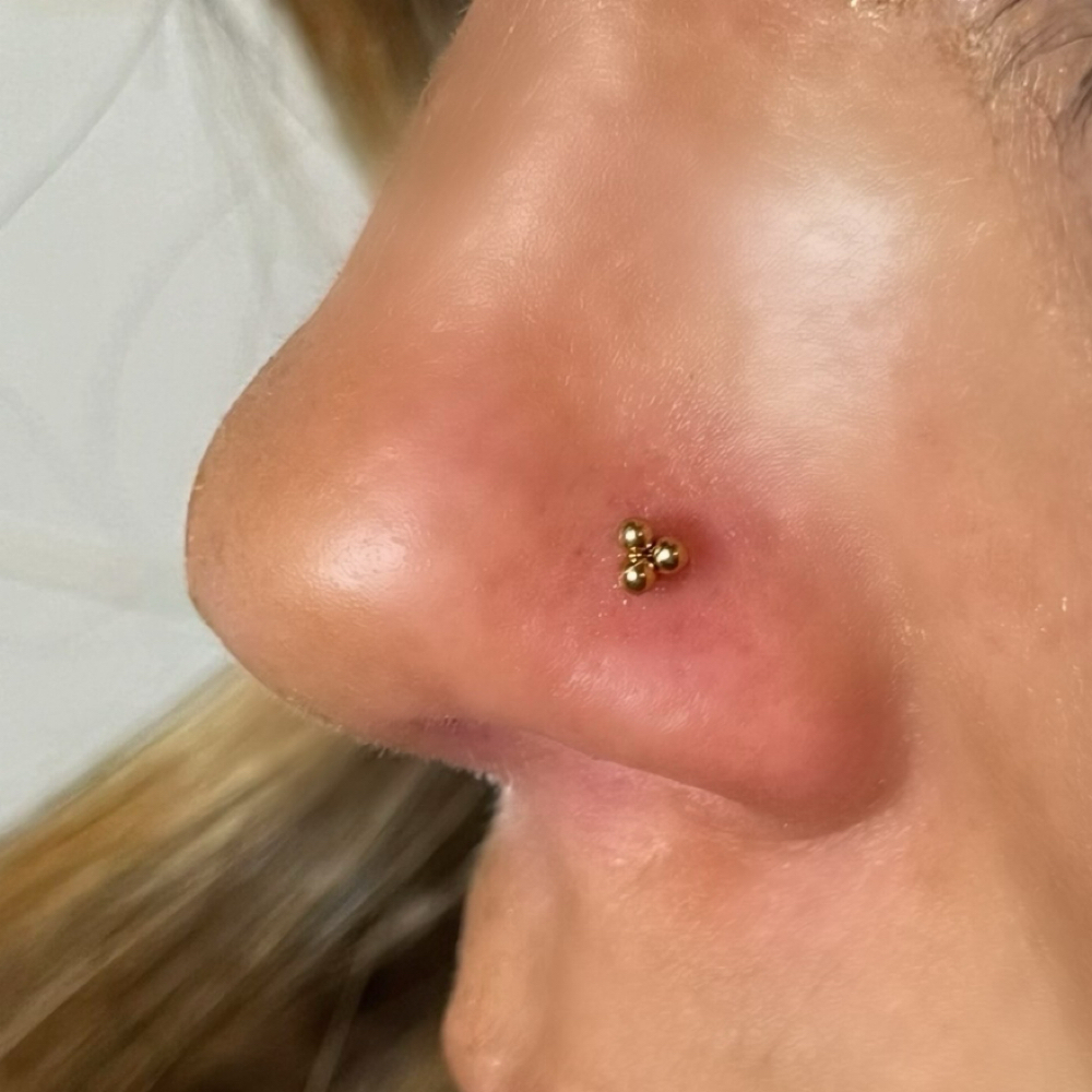 Piercing: Nose at NJC Salon in Wilmington, OH