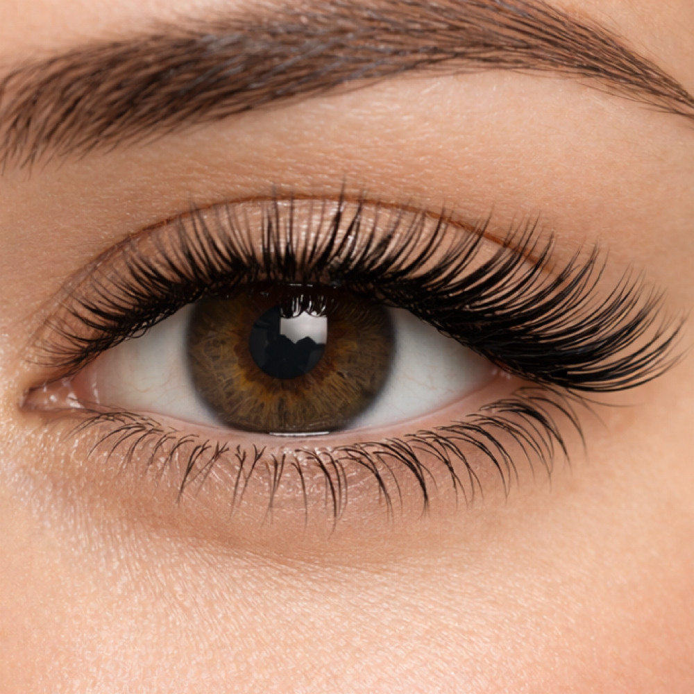 SET FILL-IN | RETOQUE DE PESTAÑAS at Ale Jaramillo Beauty Studio -           Salon & Spa in Tampa, FL