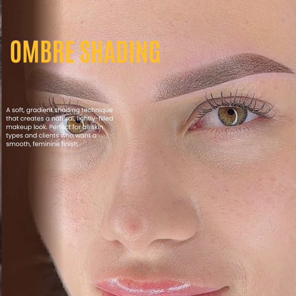 Ombre Shading Brows at BrowsByAlee in Columbus, OH