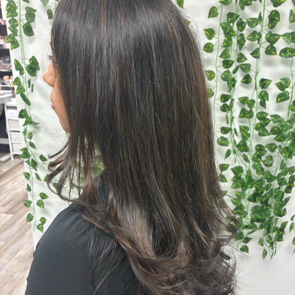Highlights Partial Head at Hair By Stephanie in Bellevue, NE
