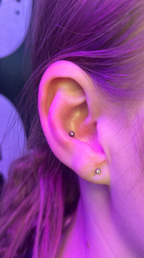 Conch
