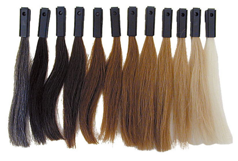 Color Consultation