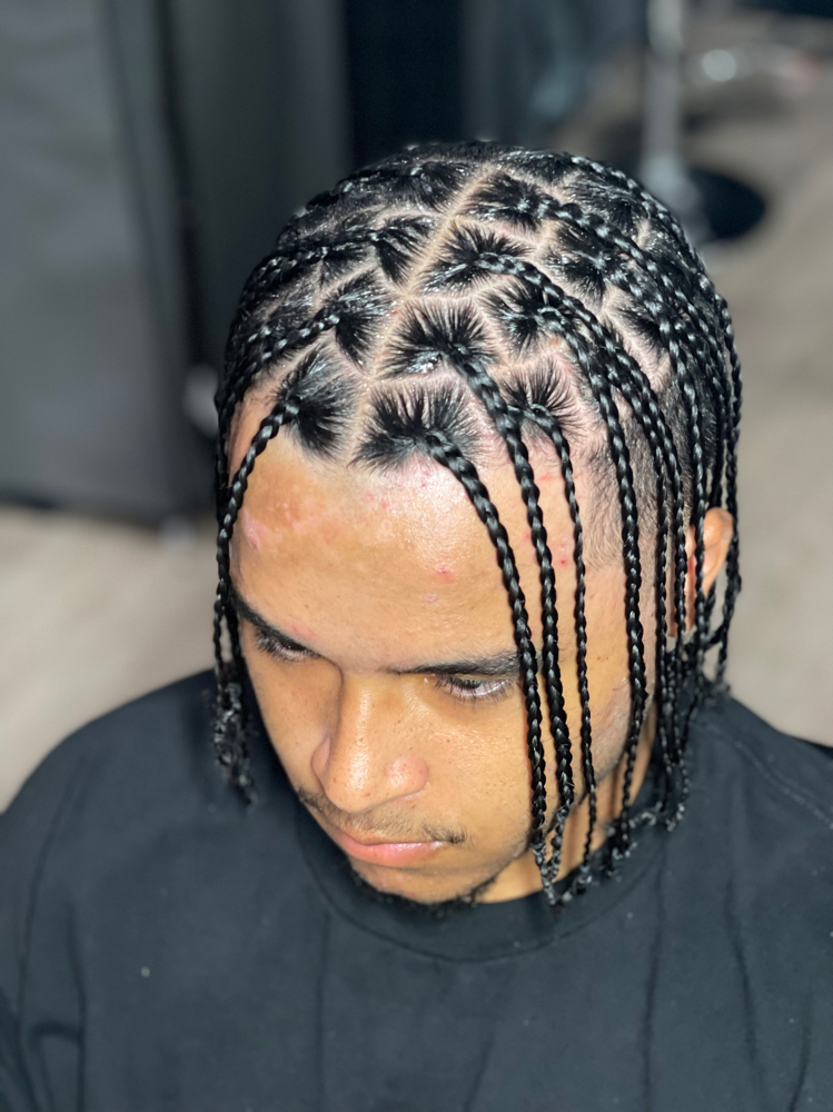 Plaits