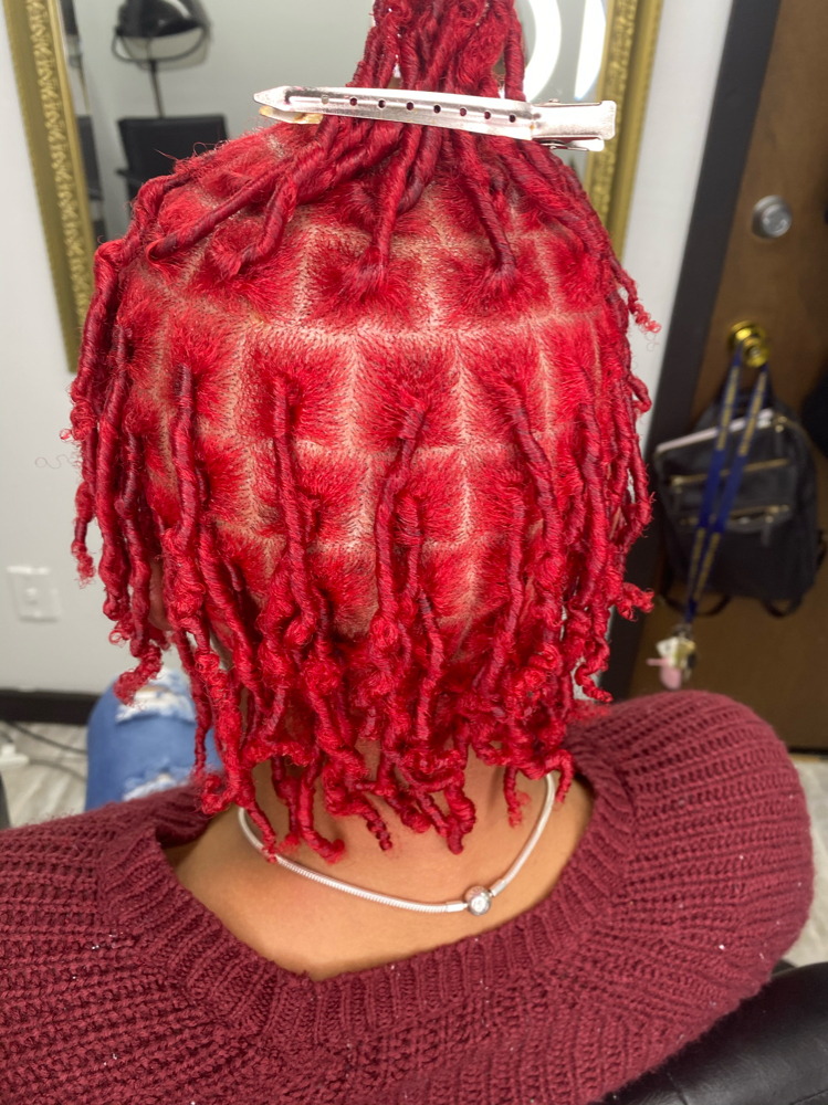 Loc Coloring(Full Head)