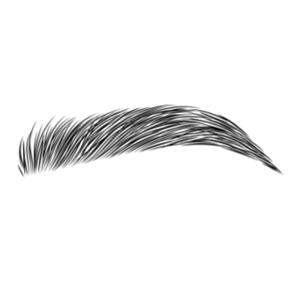 Brow Wax + Tint at Opal Beauty + Wellness in Saint Peters, MO