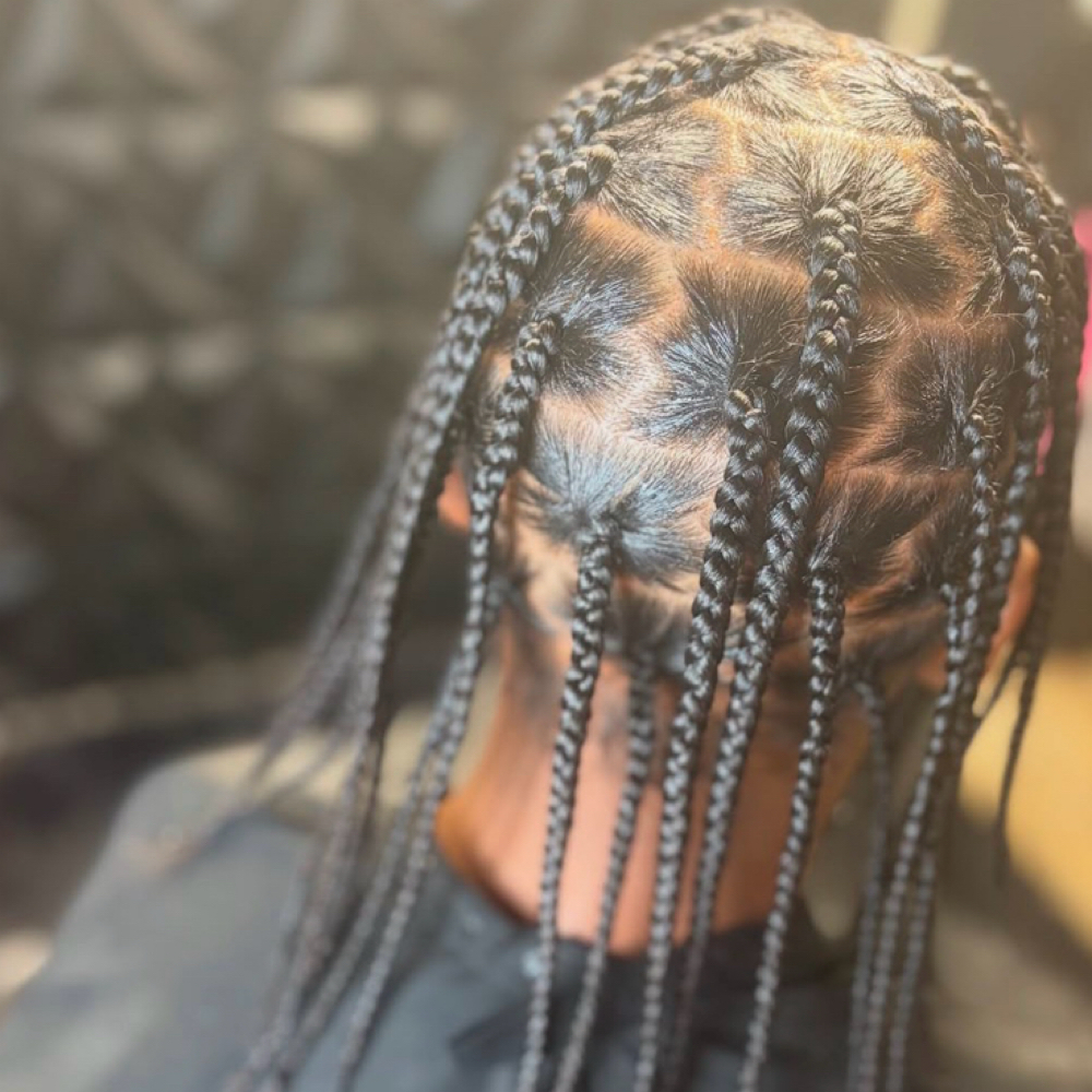 Natural Braids/Plaits at Zayziee Stylesss in Milwaukee, WI