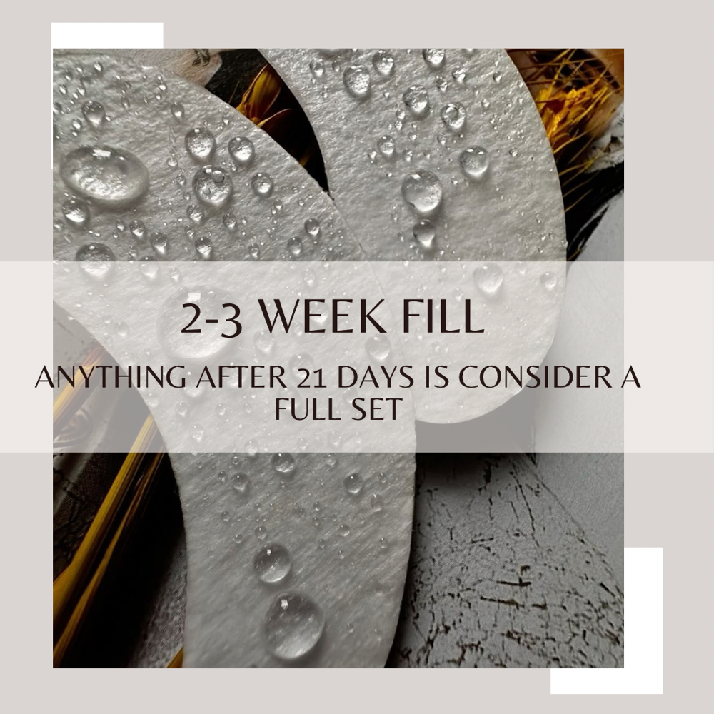 2-3 Week Fill