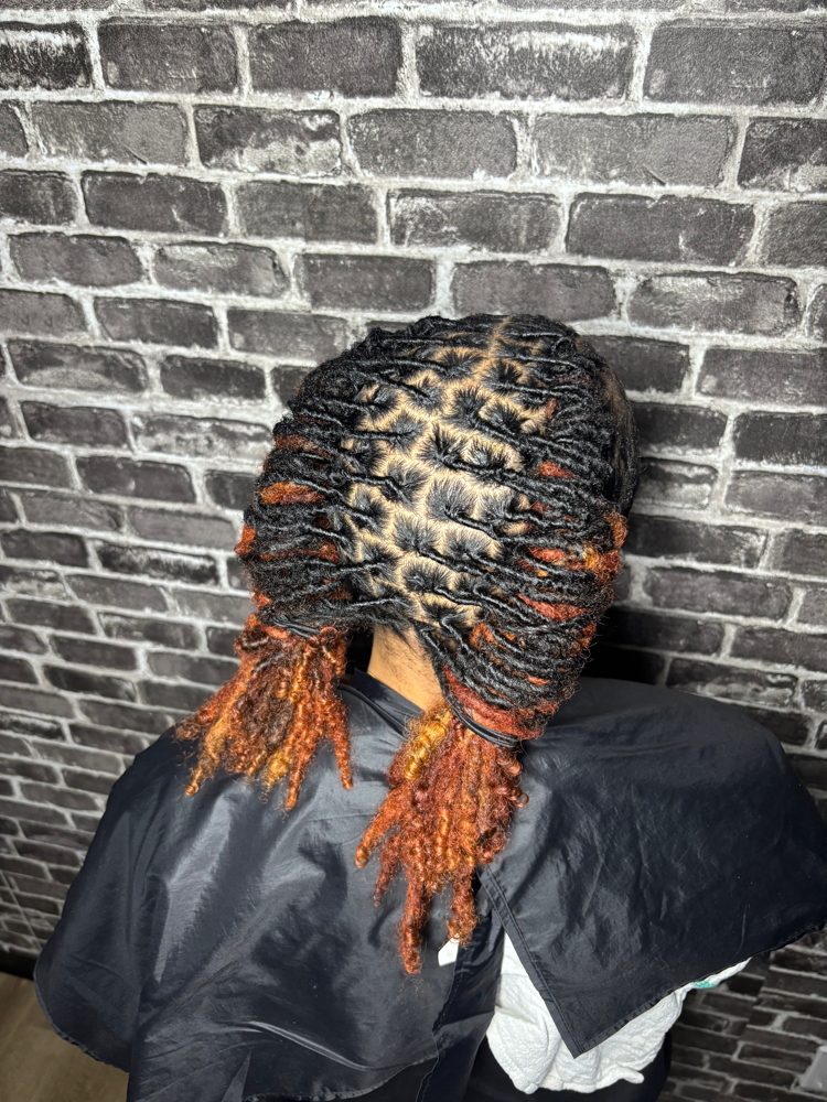 Dread Hair Color