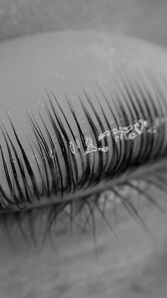 lash lifting