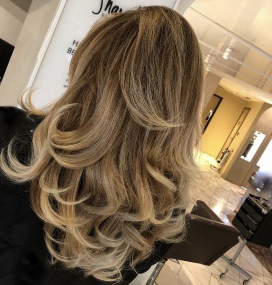 Shampoo, Cut, and Blowdry