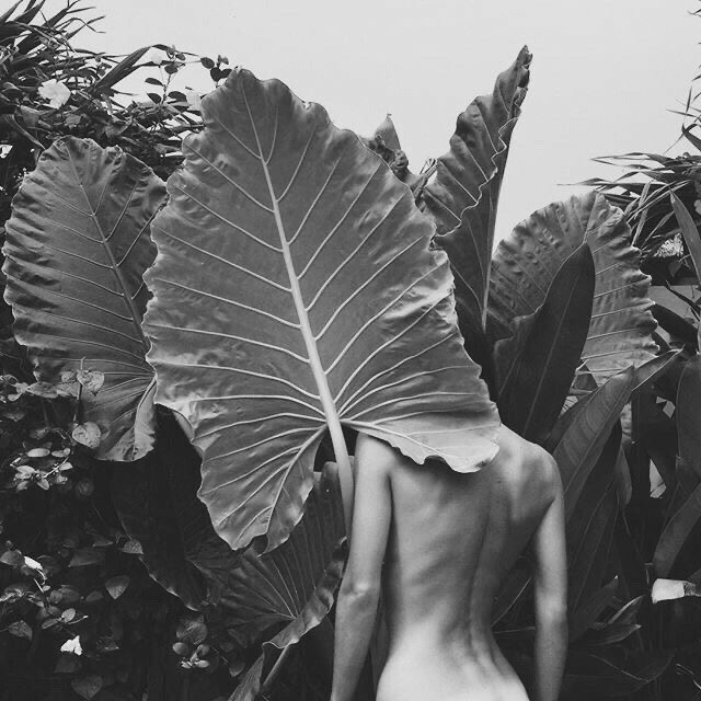 Keratin Bond Extensions