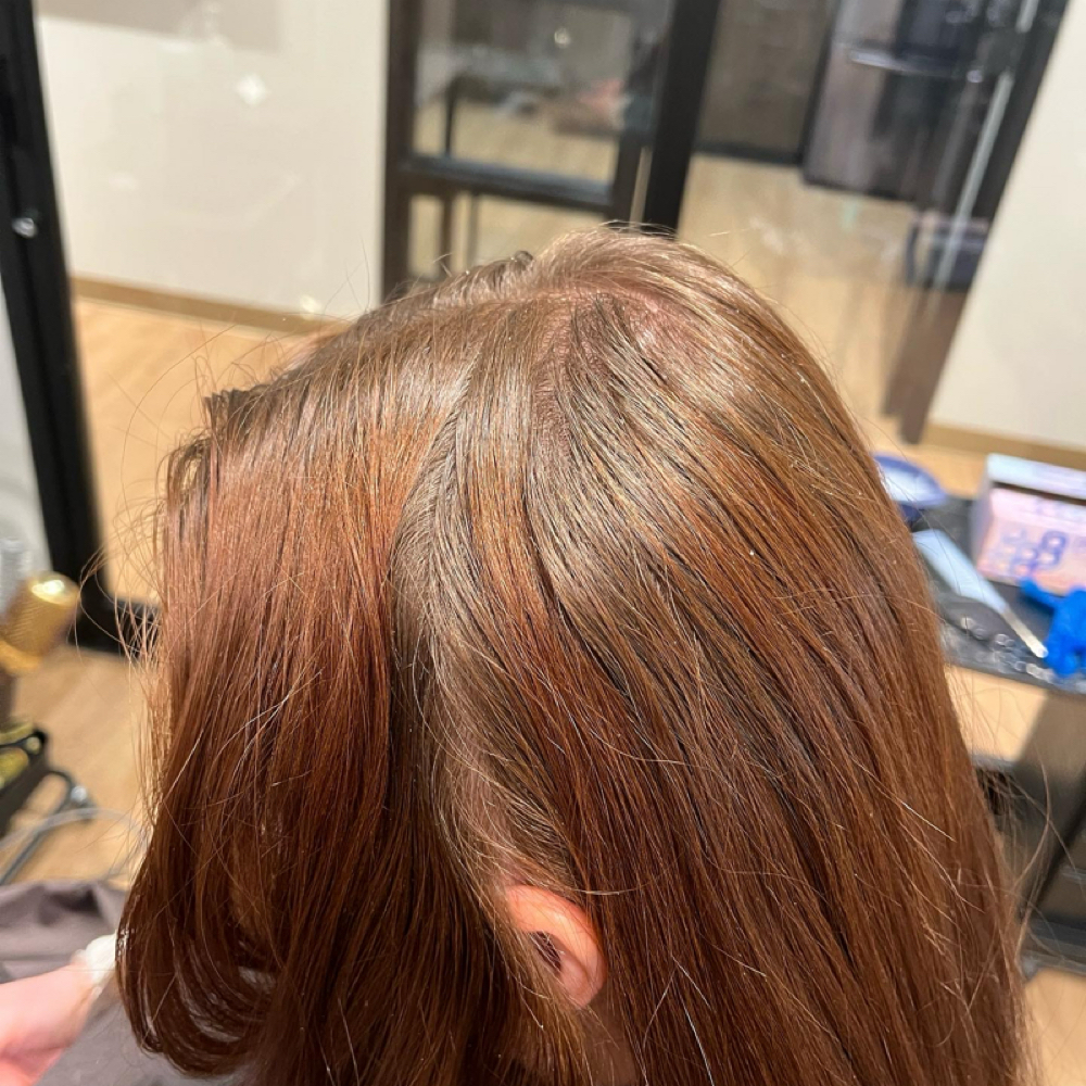 Roots at Ashley  Allred in Orem, UT