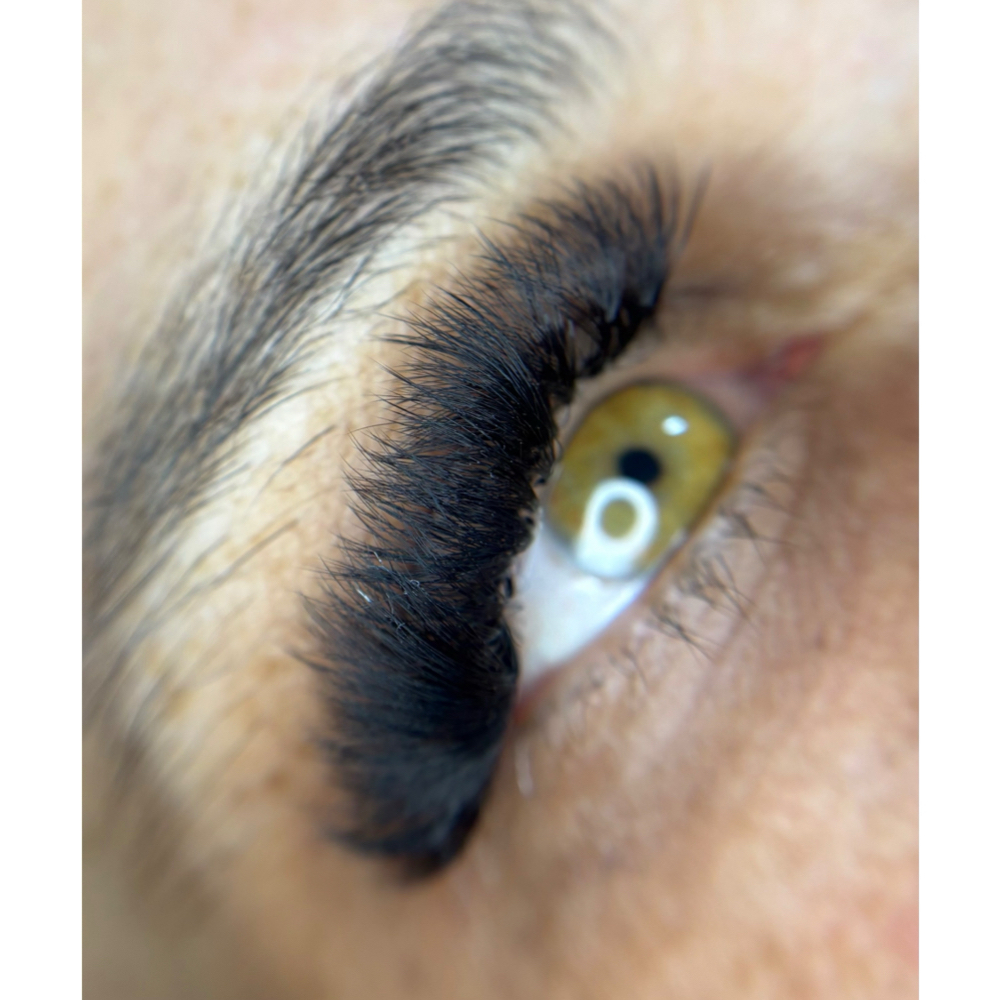 Volume Full Lash Set at Get up and Glow in Blaine, MN