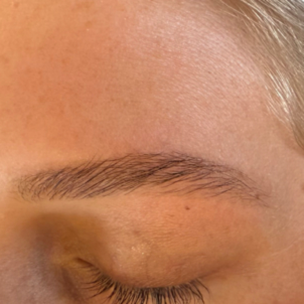 Brow Tint Only at Skin Lab by Ava Castelluzzo in Lapeer, MI