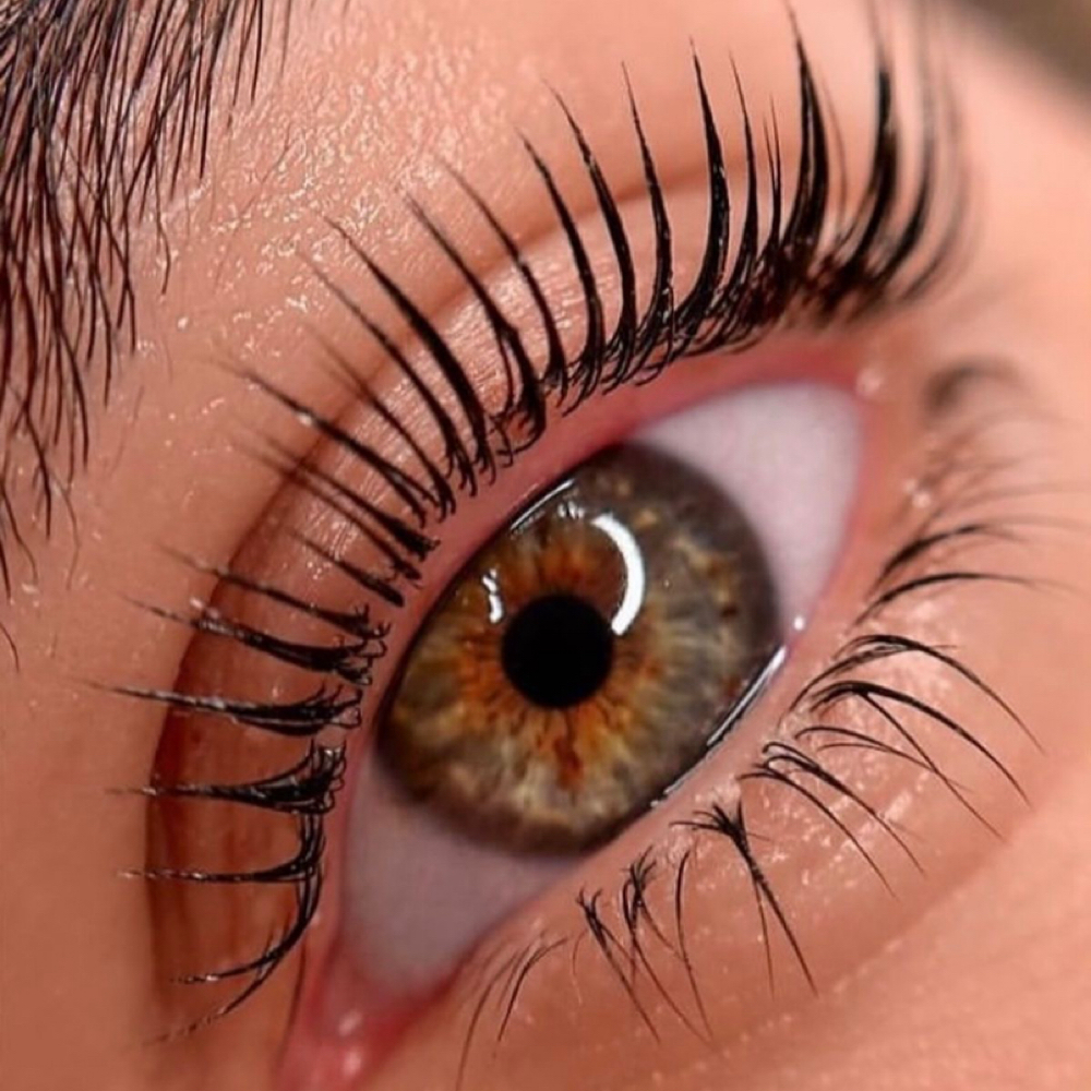 Korean Lash Lift W Tint at Alviina esthetics & candle co. in Buckeye, AZ