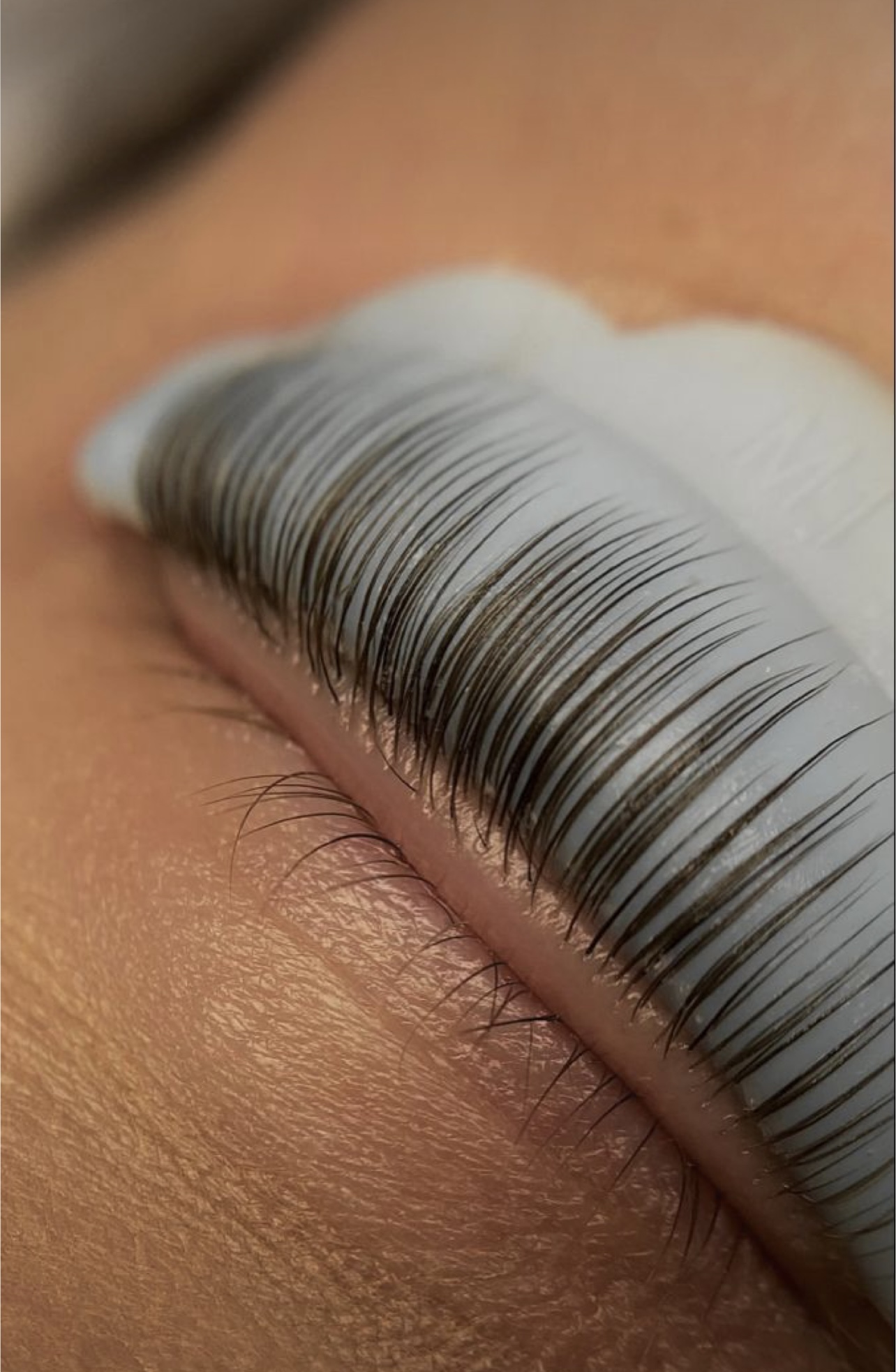 Lash Lift and Tint