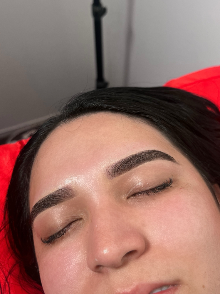 Deluxe Brow Wax (with Tint) at Karinaglamz in San Jose, CA