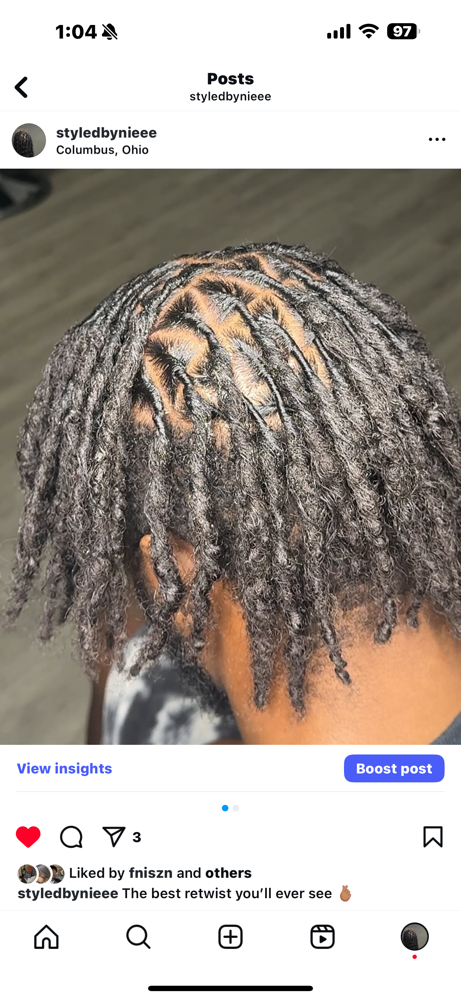 Small Starter Locs