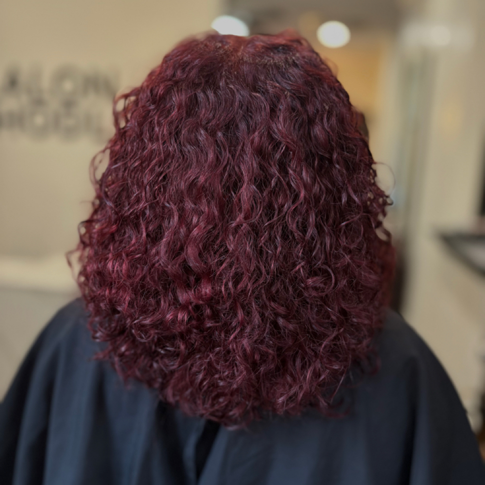 All Over Color at Styles By Mariah J in Spring, TX