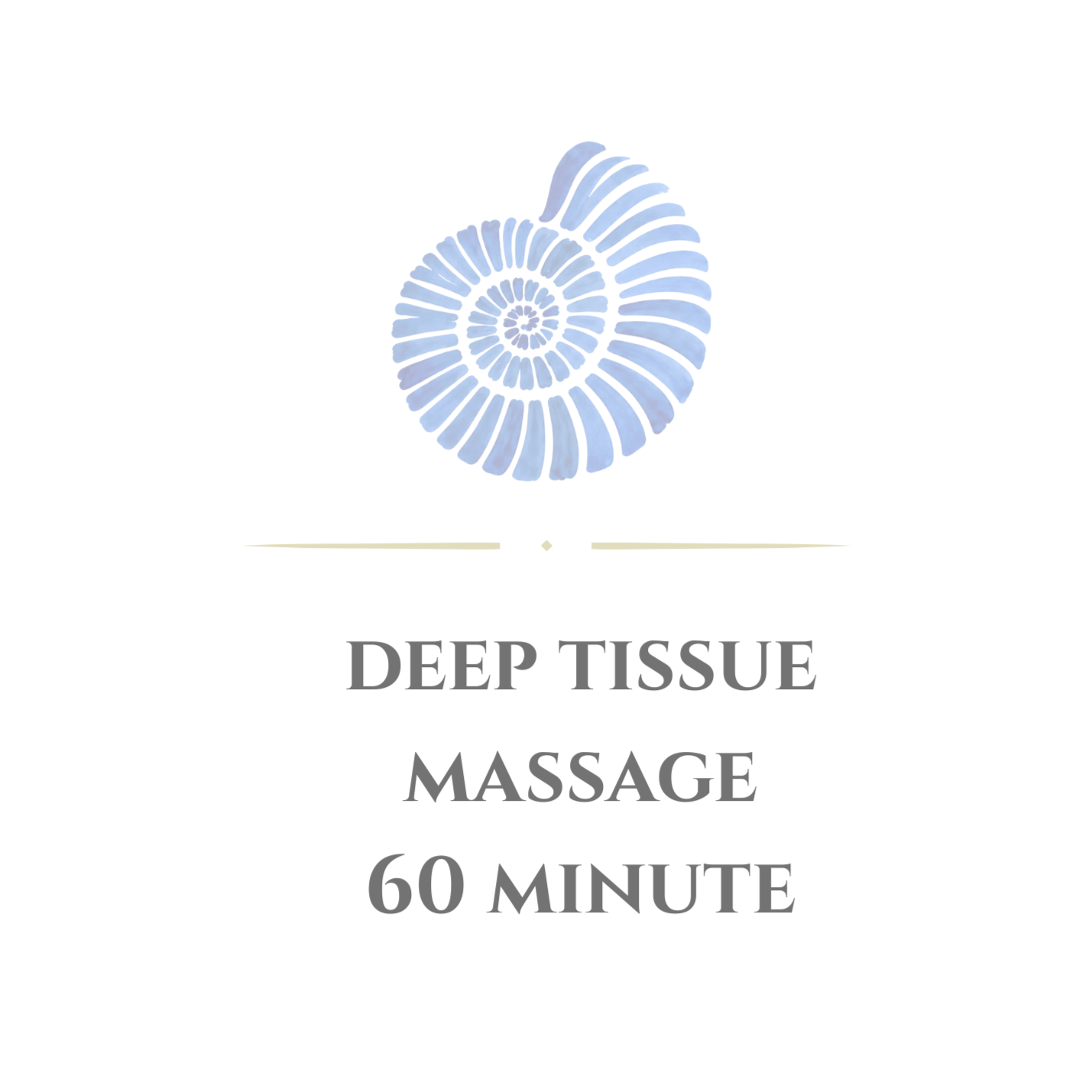 60 Minute Relaxation Massage at Body Blueprint Wellness in Cohasset Office, MA