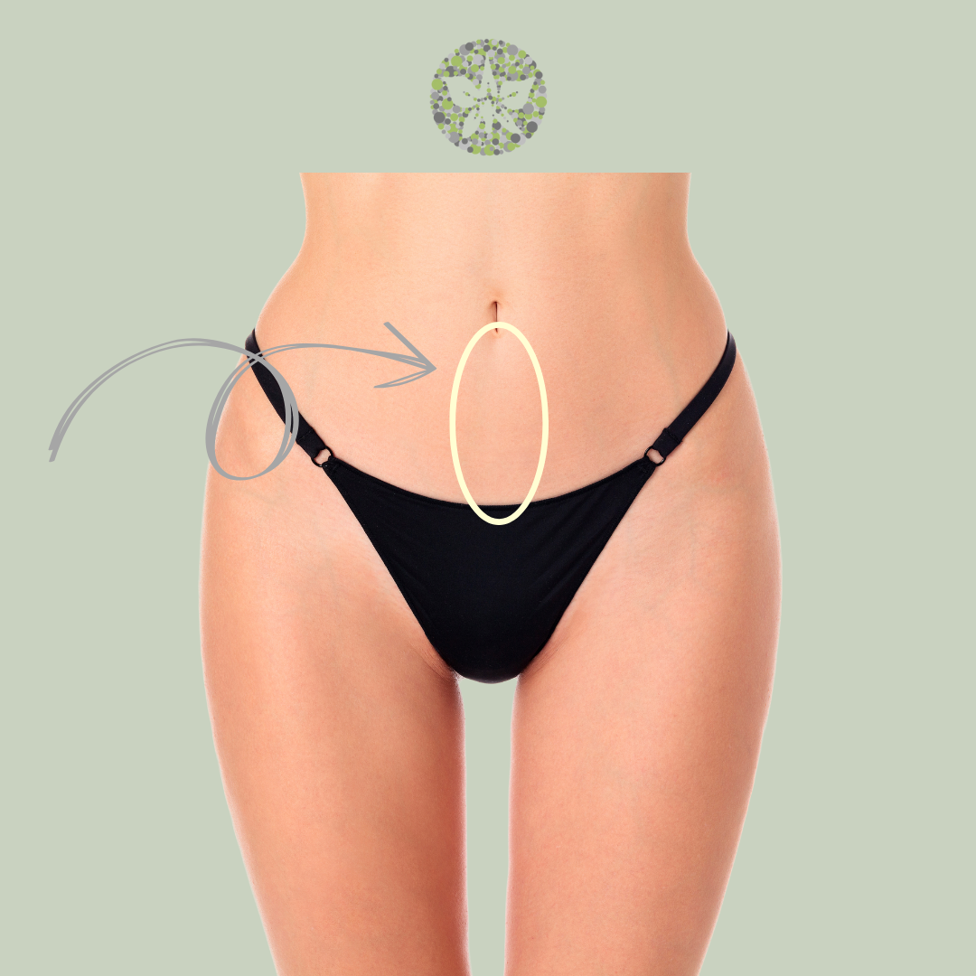 Belly Button Strip