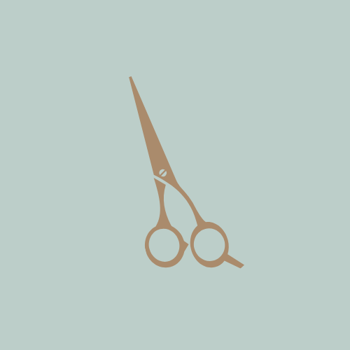 Shampoo & Haircut