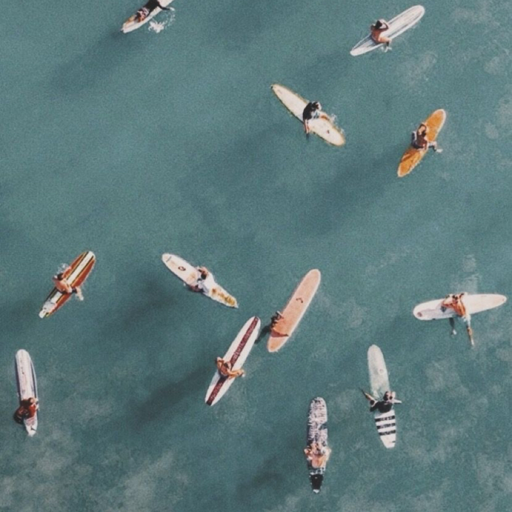 Blowout & Style at Mane Evolution Hair in South Pasadena, FL