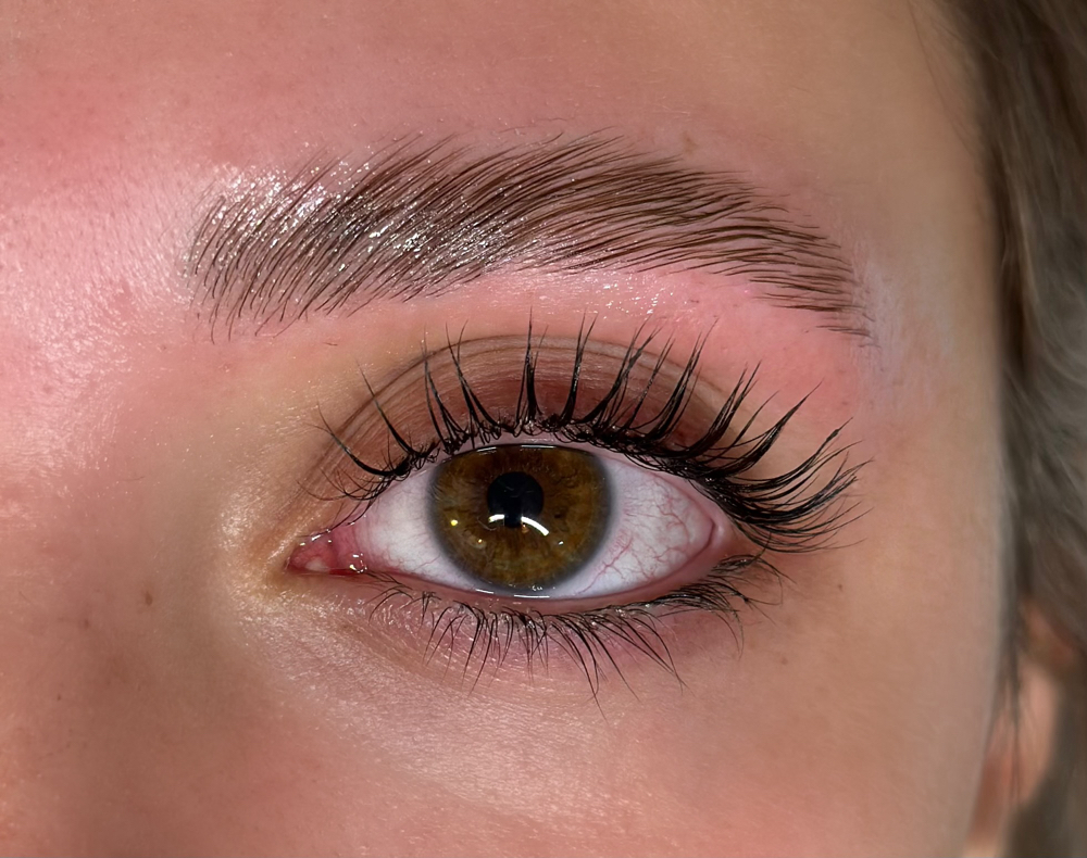 Eyebrow Lamination