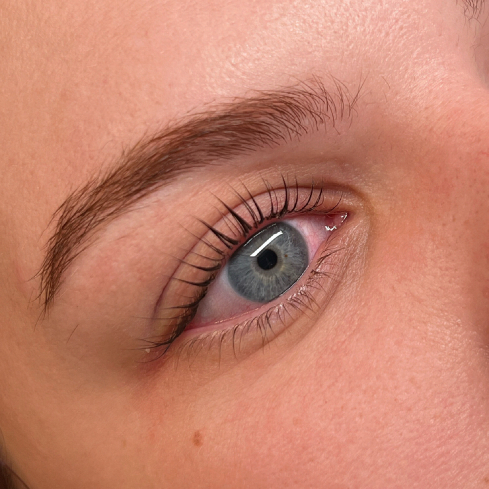 Lash Lift & Tint at Lash Altar in St. Petersburg, FL