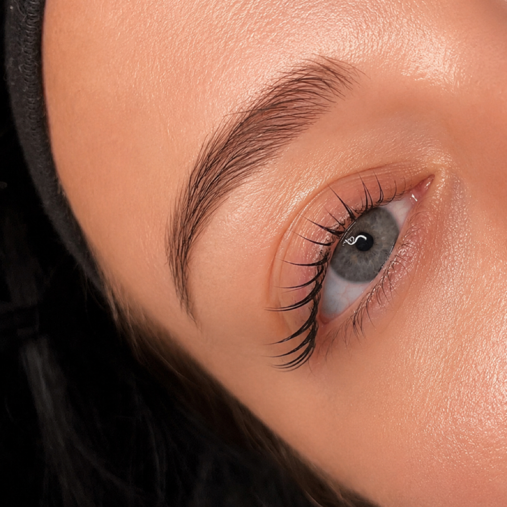 Korean Lash Lift & Tint at The Lash Altar in Pinellas park, FL