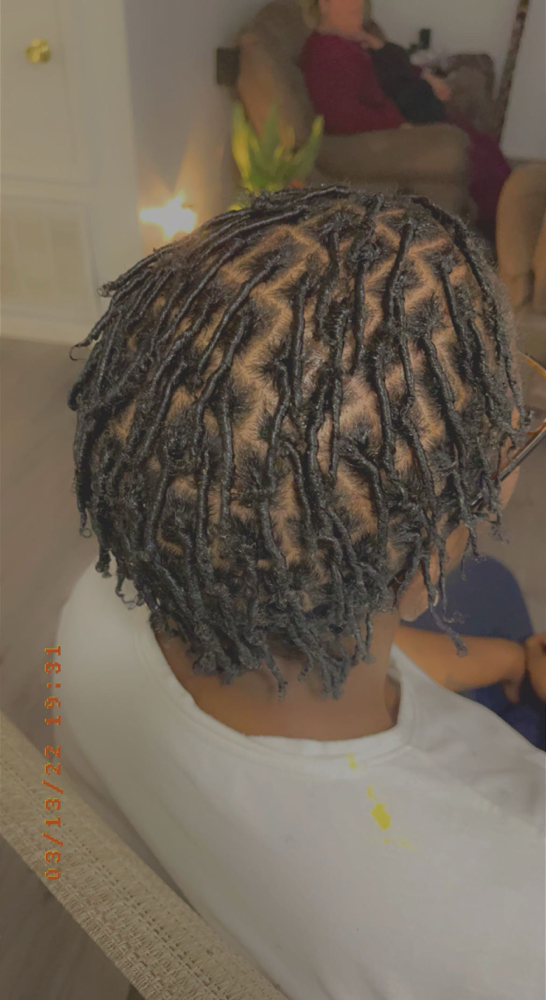Starter Locs