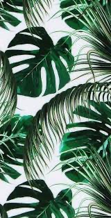 Ombre w/ Glitter at Edwin’s Nail Studio in Bakersfield, CA