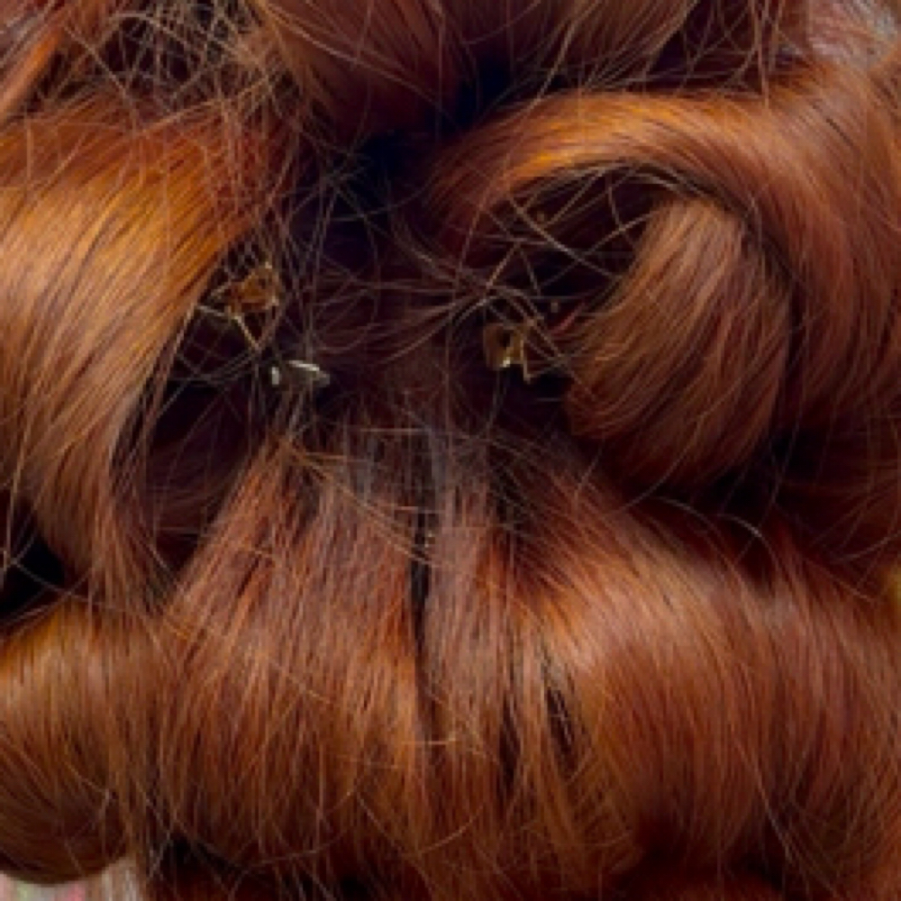 root retouch + Color at allthingscarmenn in Burbank, CA