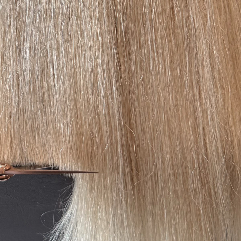 Haircut & Wash (No Blowout) at Hair by Brooke Skafas in Seabrook, NH