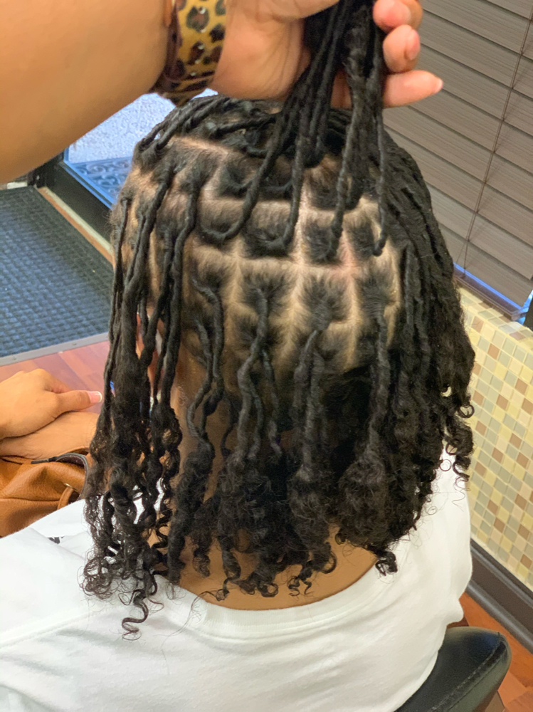 Starter Locs