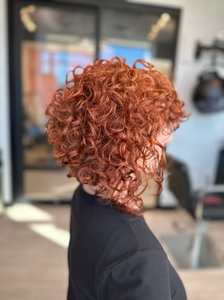 All Over Color + Curl Definition