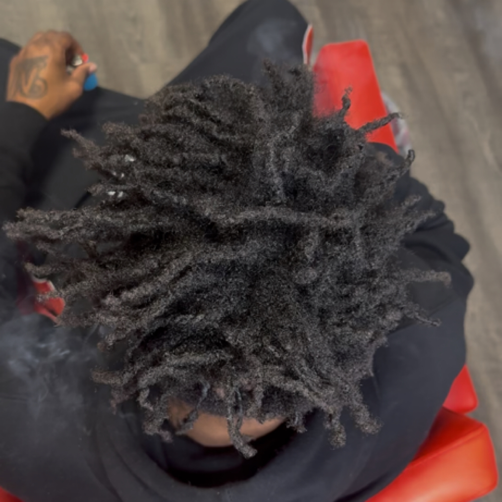 Retwist Freeform → Traditional Locs at Touched by Diana in Hawthorne, CA