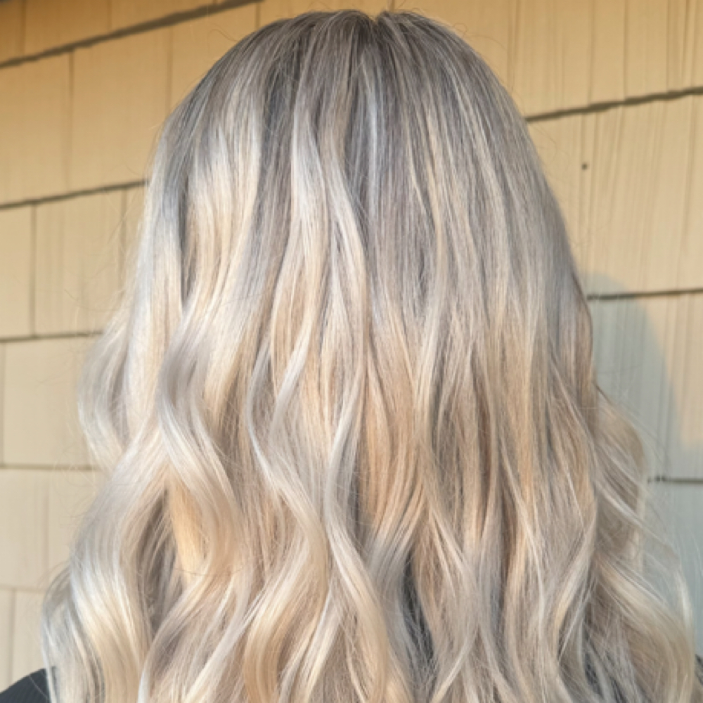 Full Highlight And haircut at Daniela Springer in Portage, MI