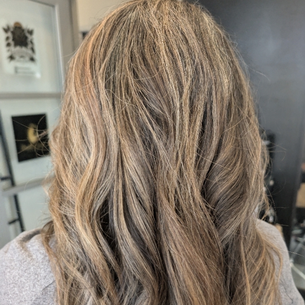 Toner at Elevated Curls in Colorado Springs, CO