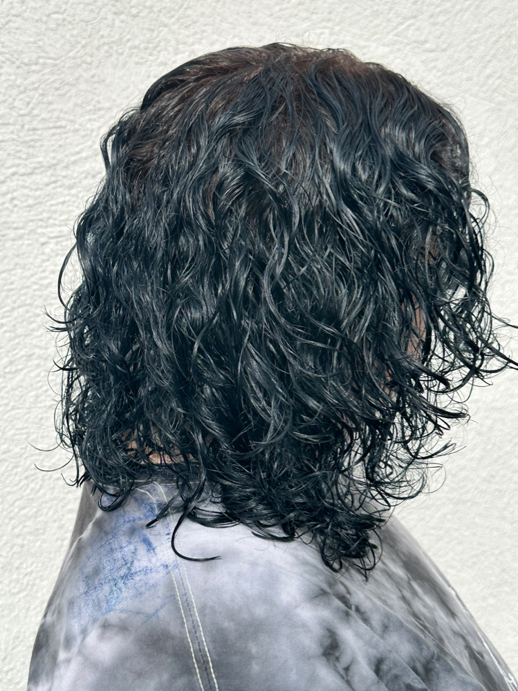 Vivid/ Fashion Color
