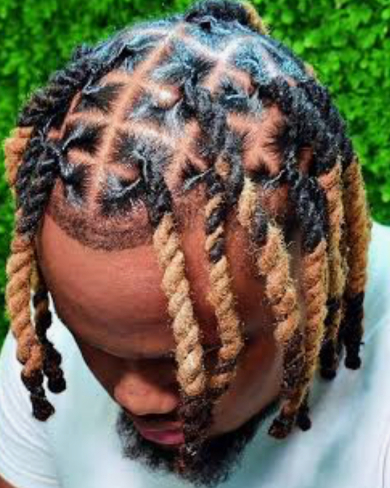 Loc Tip Lighten at Studio 981 in Richmond, VA