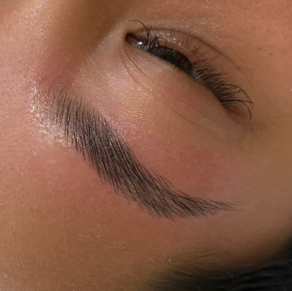 Full Face Wax & Eyebrow Lamination at Glo Beauty Studio LLC in Los ANGELES, CA
