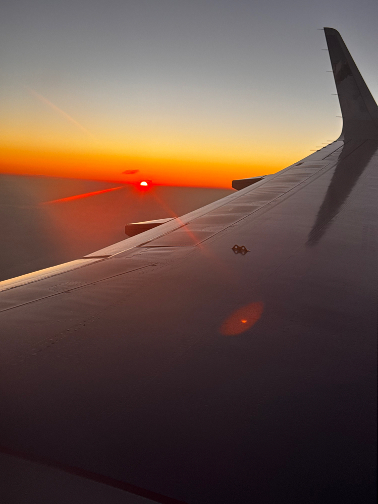 Travel Appointment ✈️ Consultation at Rarebird Braiding and Wellness Studio in Fort Washington, MD