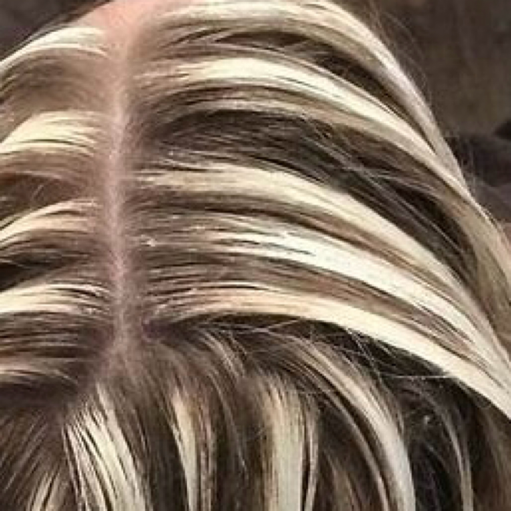 Partial Balayage at Sher Segal Hair in Apex, NC
