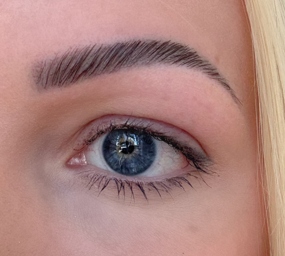 Eyebrow Lamination