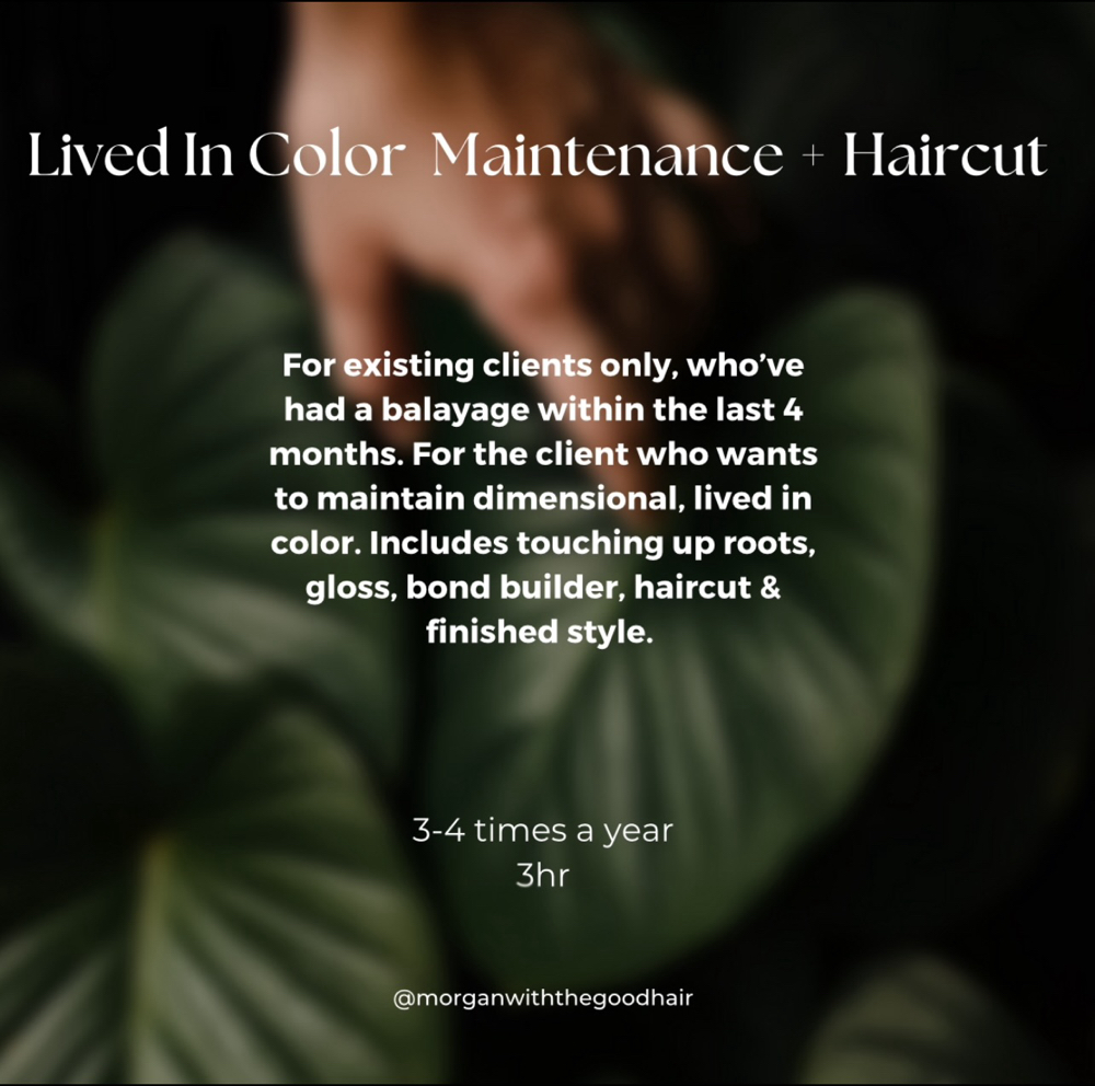 Lived in Color Maintenance + Haircu