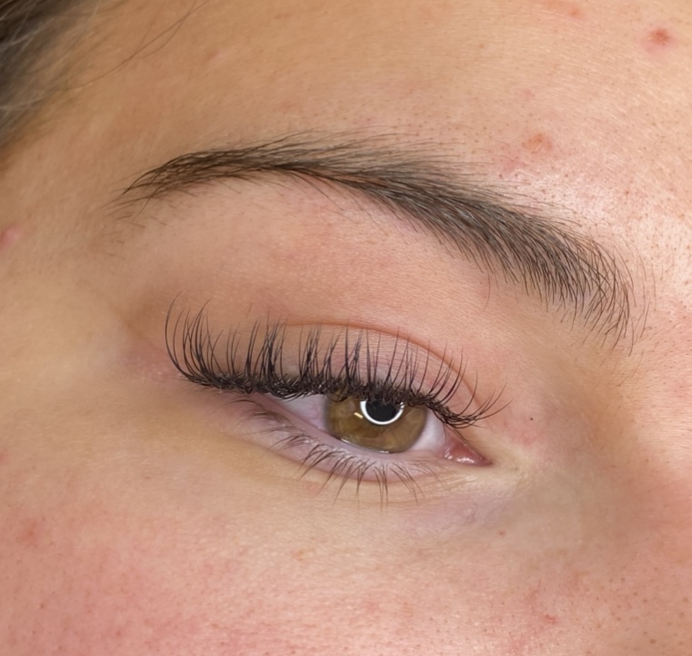 Traditional Classic Lashes at Rose Petal Beauty in Cullman, AL