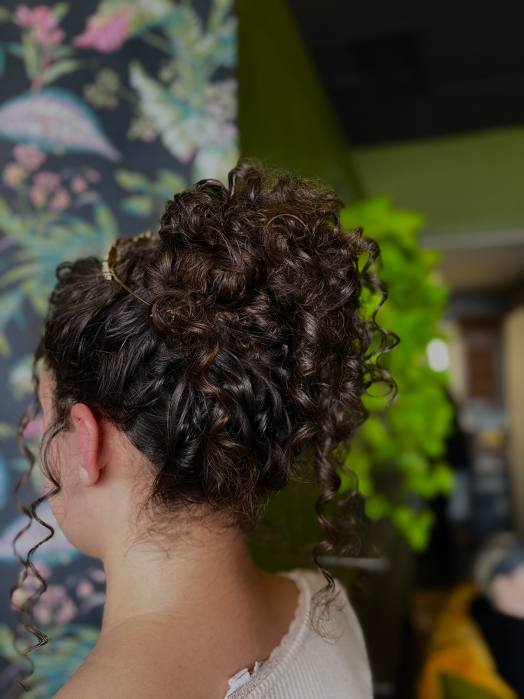 Special Ocassion Updo